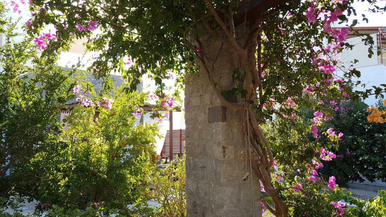 Villa Patmos Netia Скала Экстерьер фото
